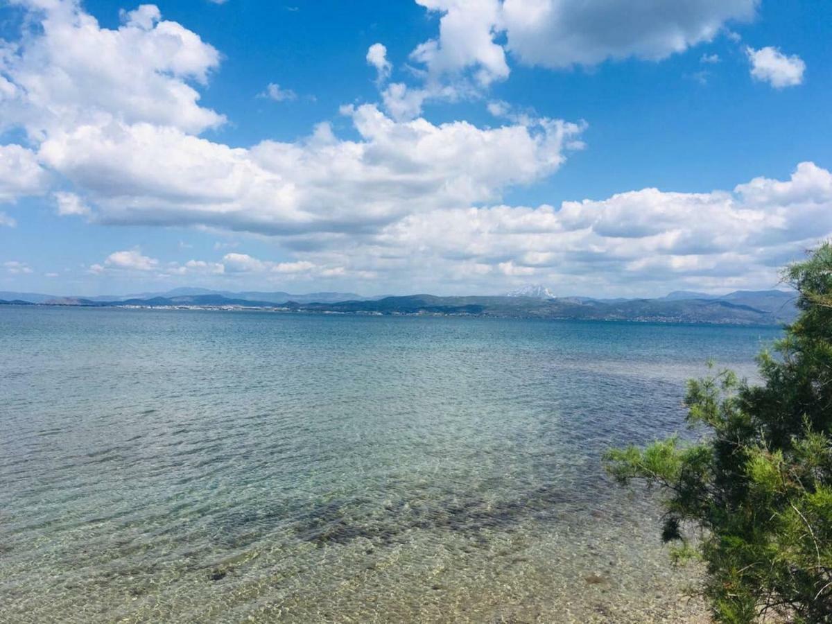 Angela Seaside Summer House Dhílesi Dış mekan fotoğraf